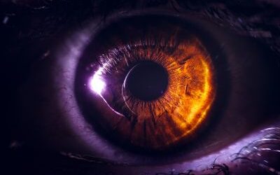 Nanowire Retinal Implant Restores Vision and Sees Infrared