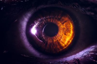 Nanowire Retinal Implant Restores Vision and Sees Infrared